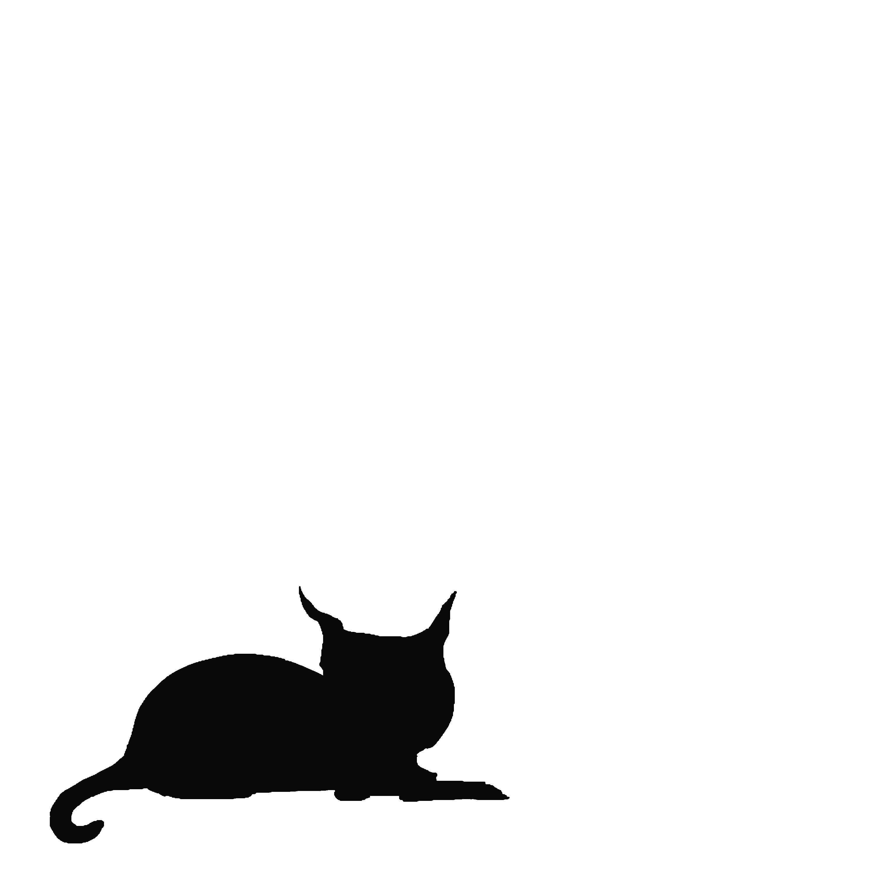 Cat inviting you to the next project